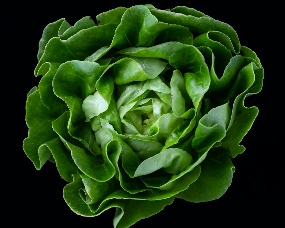 Variety of safe foods for type 2 diabetes management including fresh vegetables, lean proteins, and whole grains
